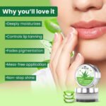 1 Natural lipbalm